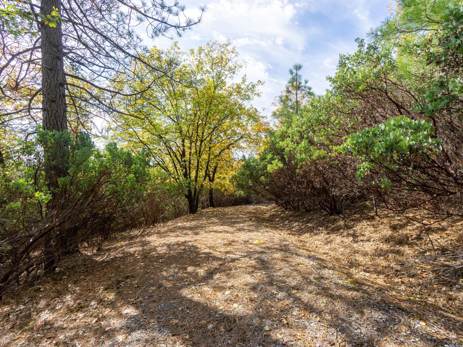 Detail Gallery Image 19 of 25 For 5031 Anne Louise Ln, Placerville,  CA 95667 - – Beds | – Baths