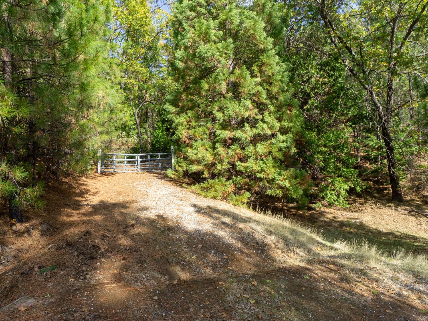 Detail Gallery Image 4 of 25 For 5031 Anne Louise Ln, Placerville,  CA 95667 - – Beds | – Baths