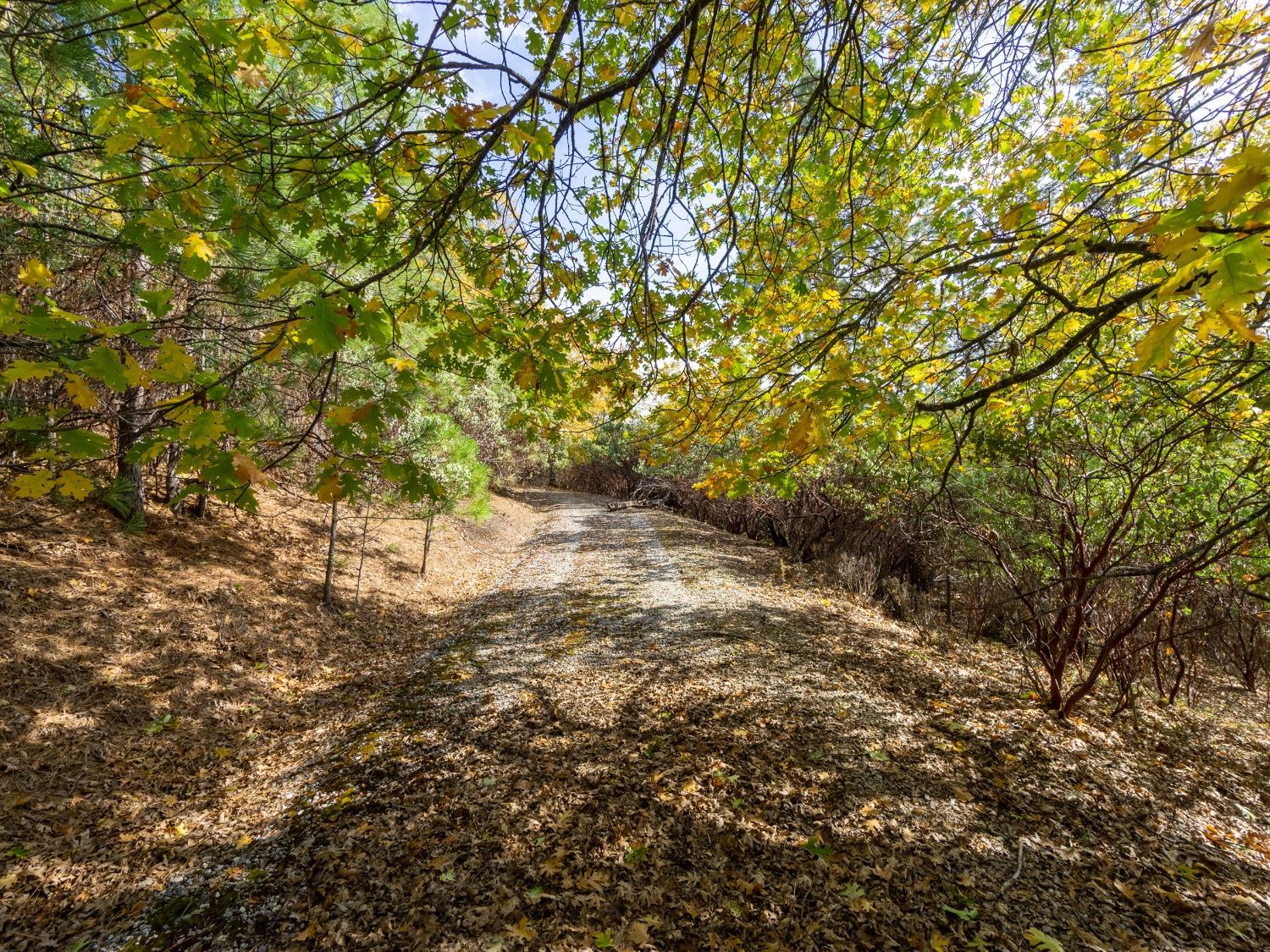 Detail Gallery Image 9 of 25 For 5031 Anne Louise Ln, Placerville,  CA 95667 - – Beds | – Baths