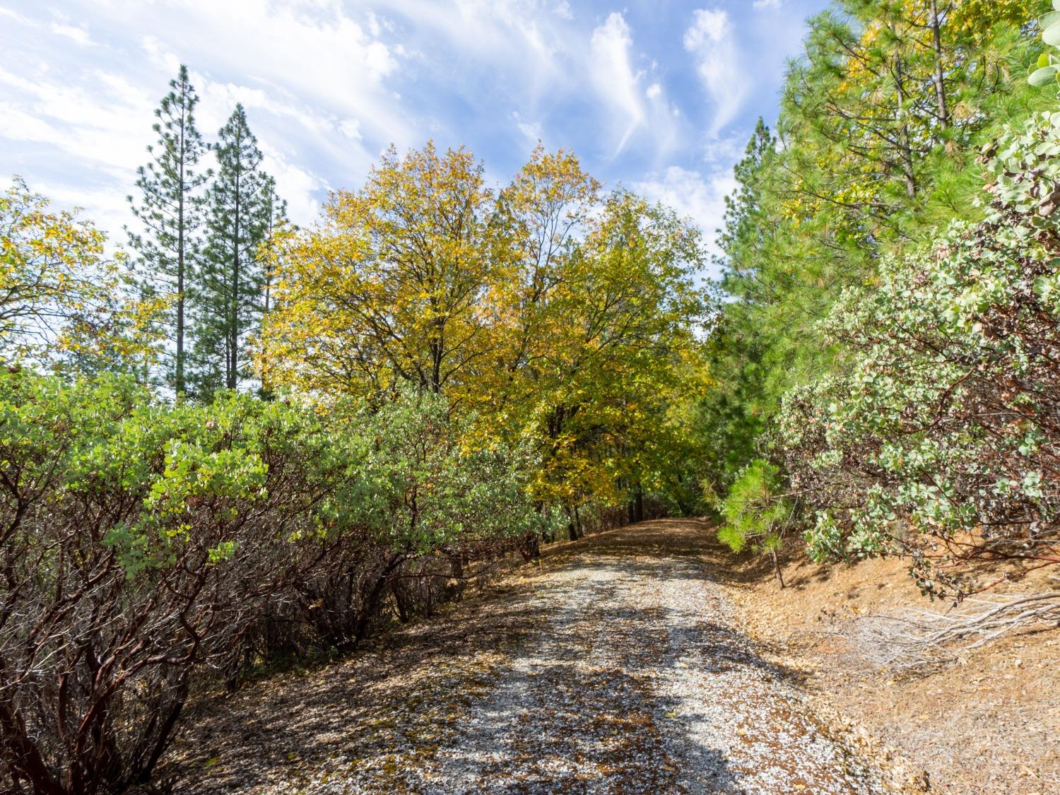 Detail Gallery Image 20 of 25 For 5031 Anne Louise Ln, Placerville,  CA 95667 - – Beds | – Baths