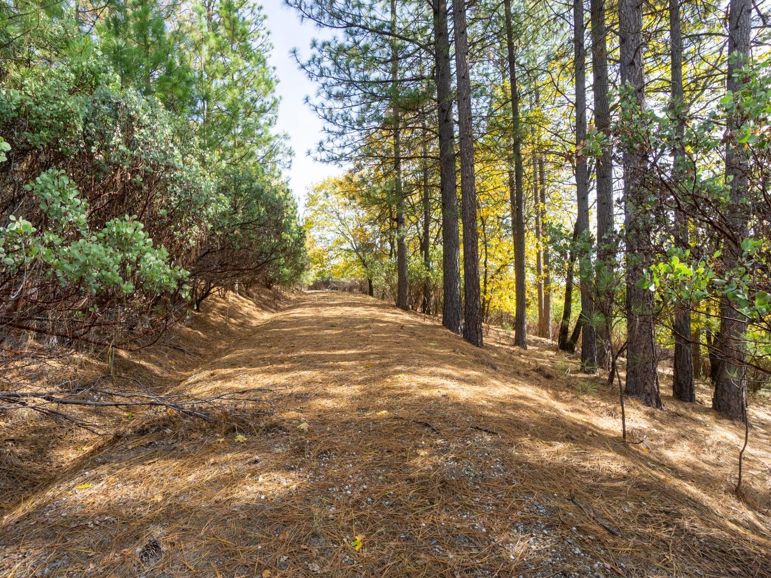 Detail Gallery Image 7 of 25 For 5031 Anne Louise Ln, Placerville,  CA 95667 - – Beds | – Baths