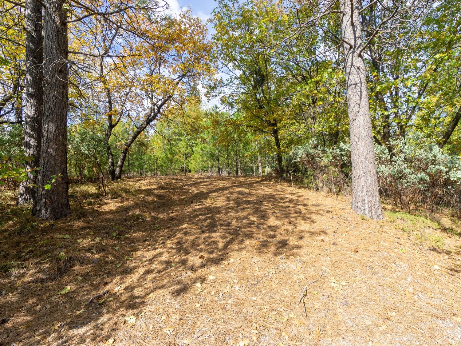 Detail Gallery Image 11 of 25 For 5031 Anne Louise Ln, Placerville,  CA 95667 - – Beds | – Baths