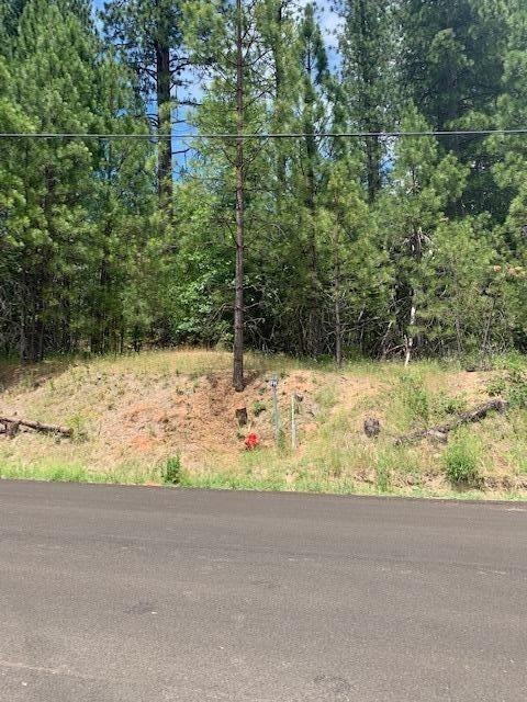 Photo of 5055 Parkside Ct in Grizzly Flats, CA