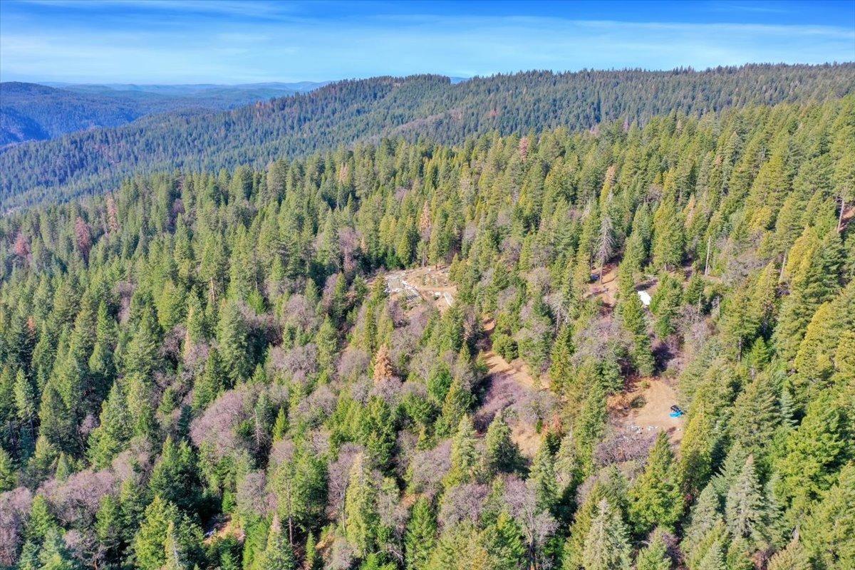 W Long Point Trail, Alleghany, California image 9