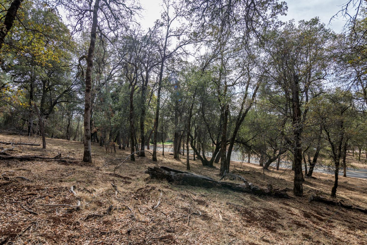 Lot 192 Darkhorse Drive, Auburn, California image 6