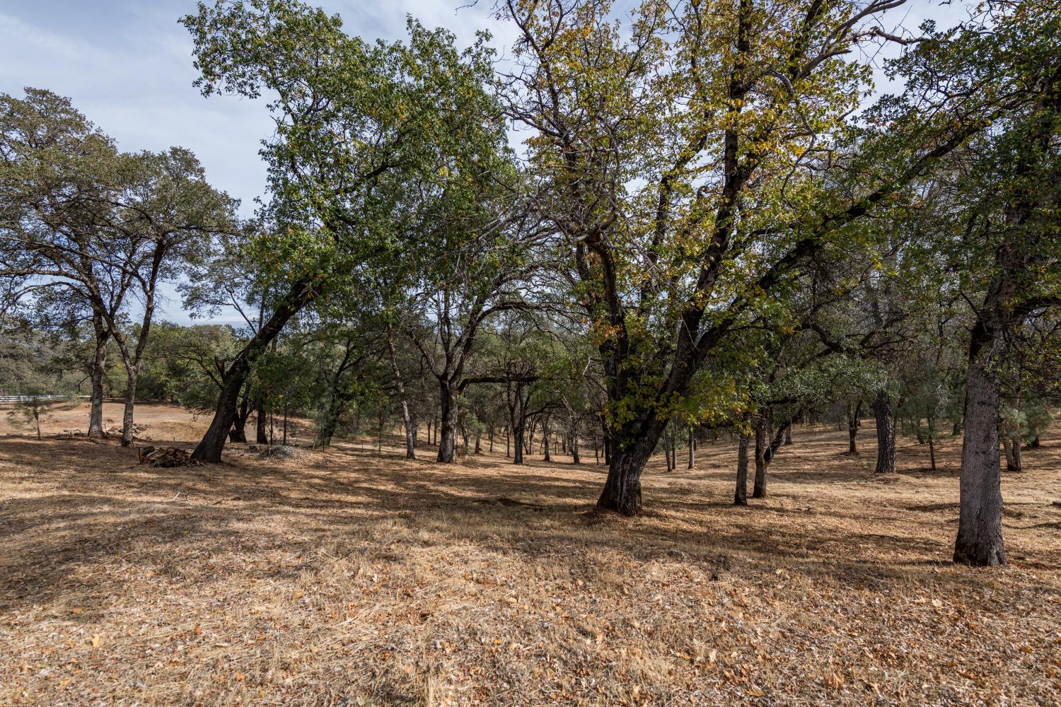 Lot 222 Moon Ridge Court, Auburn, California image 1