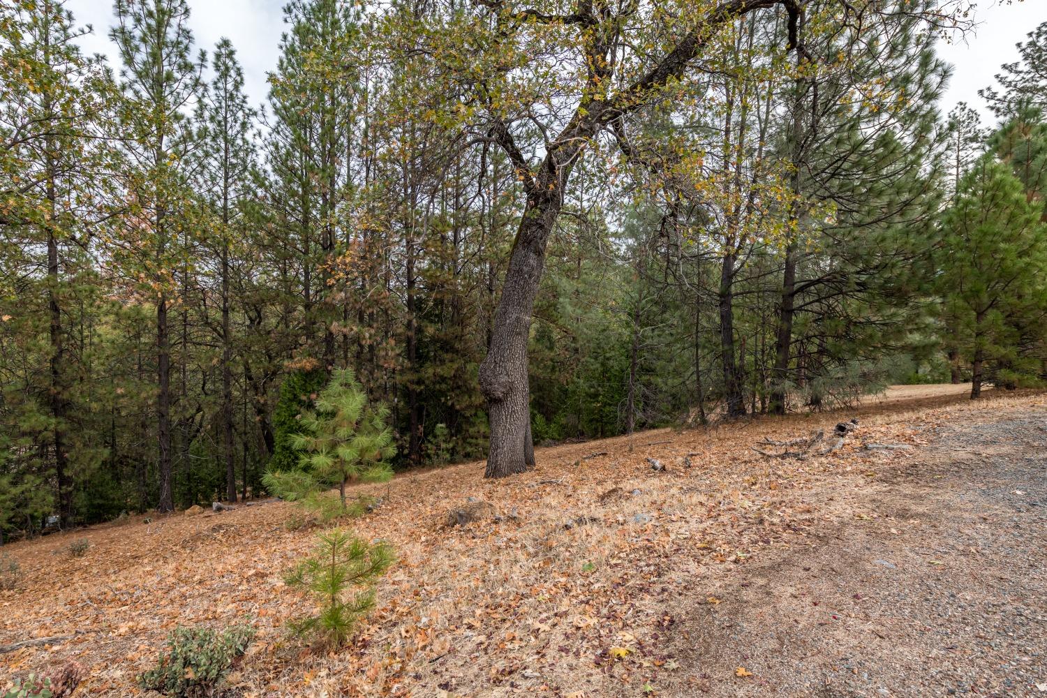 Photo of 23771-Lot 124 Darkhorse Dr in Auburn, CA