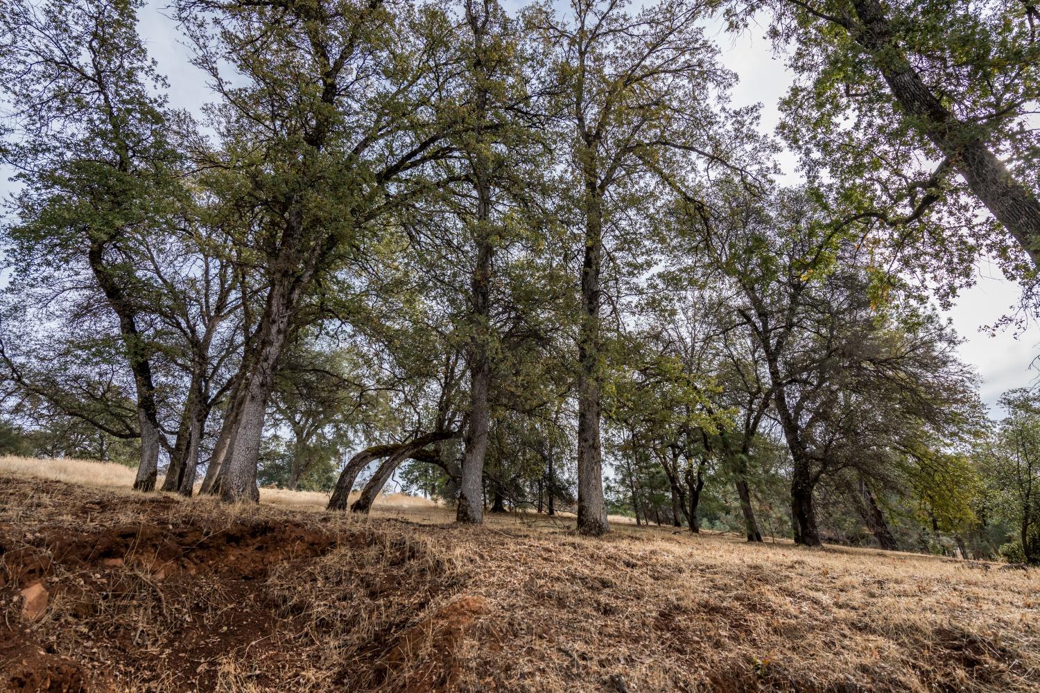 Photo of 23679-Lot 137 Eaglepoint Ct in Auburn, CA