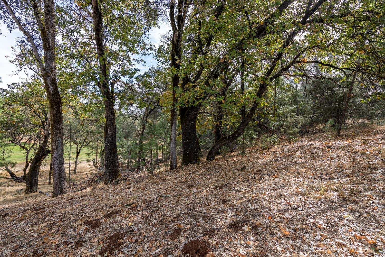 Lot 169 Darkhorse Drive, Auburn, California image 2