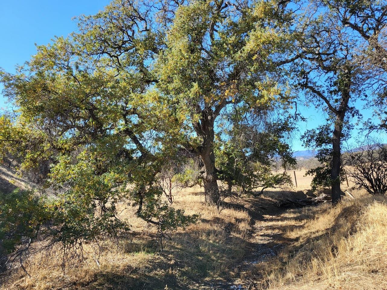 Lodoga Stonyford Road, Stonyford, California image 9