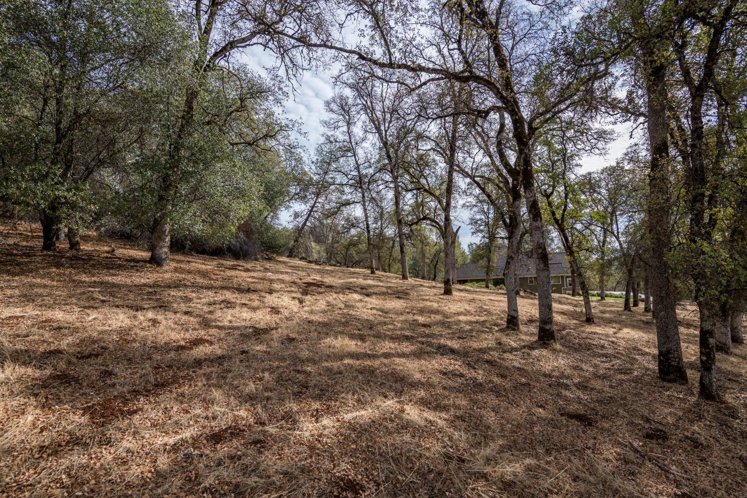 Lot 188 Darkhorse Drive, Auburn, California image 8