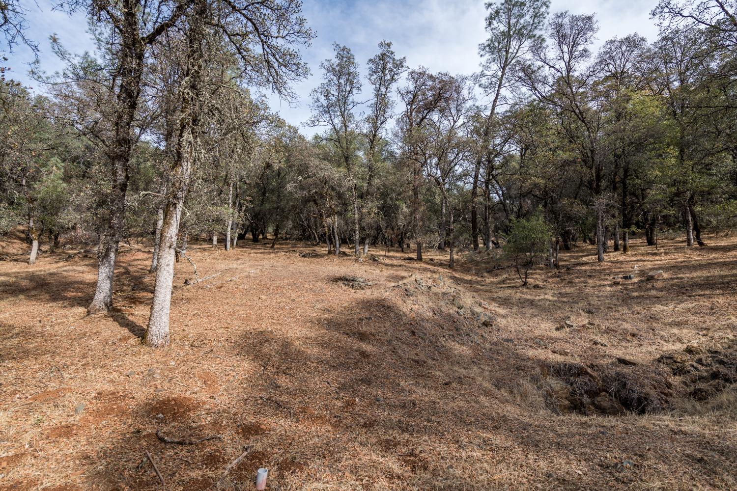 Lot 204 Masters Court, Auburn, California image 1