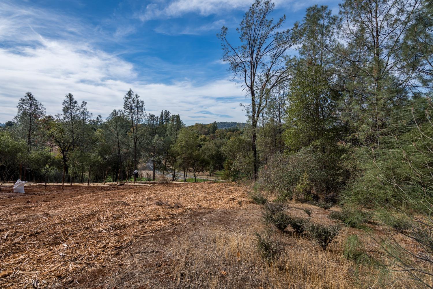 Lot 195 Masters Court, Auburn, California image 6