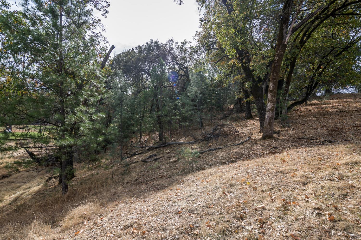 Photo of 23505-Lot 169 Darkhorse Dr in Auburn, CA
