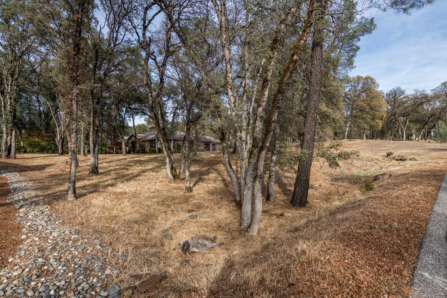 Photo of 13051-Lot 98 Austin Forest Cir in Auburn, CA