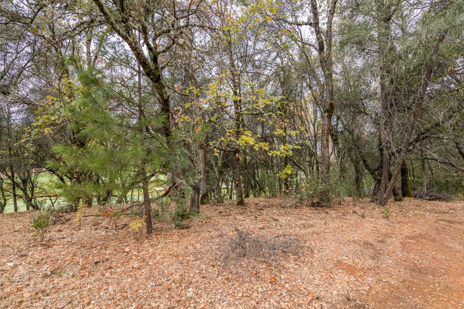 Lot 26 Landon Evan Lane, Auburn, California image 1