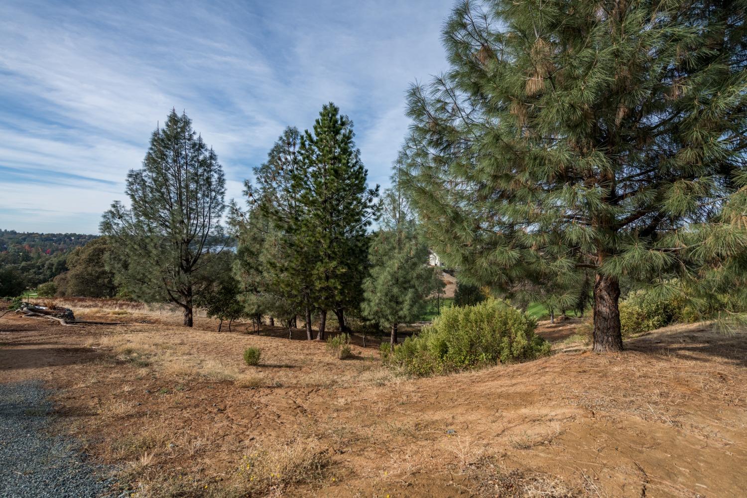 Photo of 12944-Lot 74 Austin Forest Cir in Auburn, CA