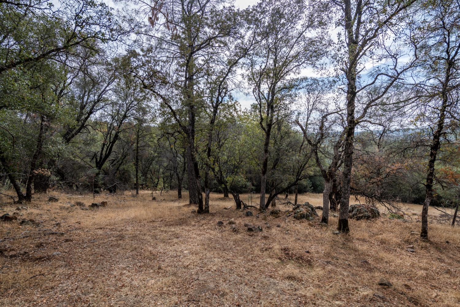 Lot 220 Moon Ridge Court, Auburn, California image 5