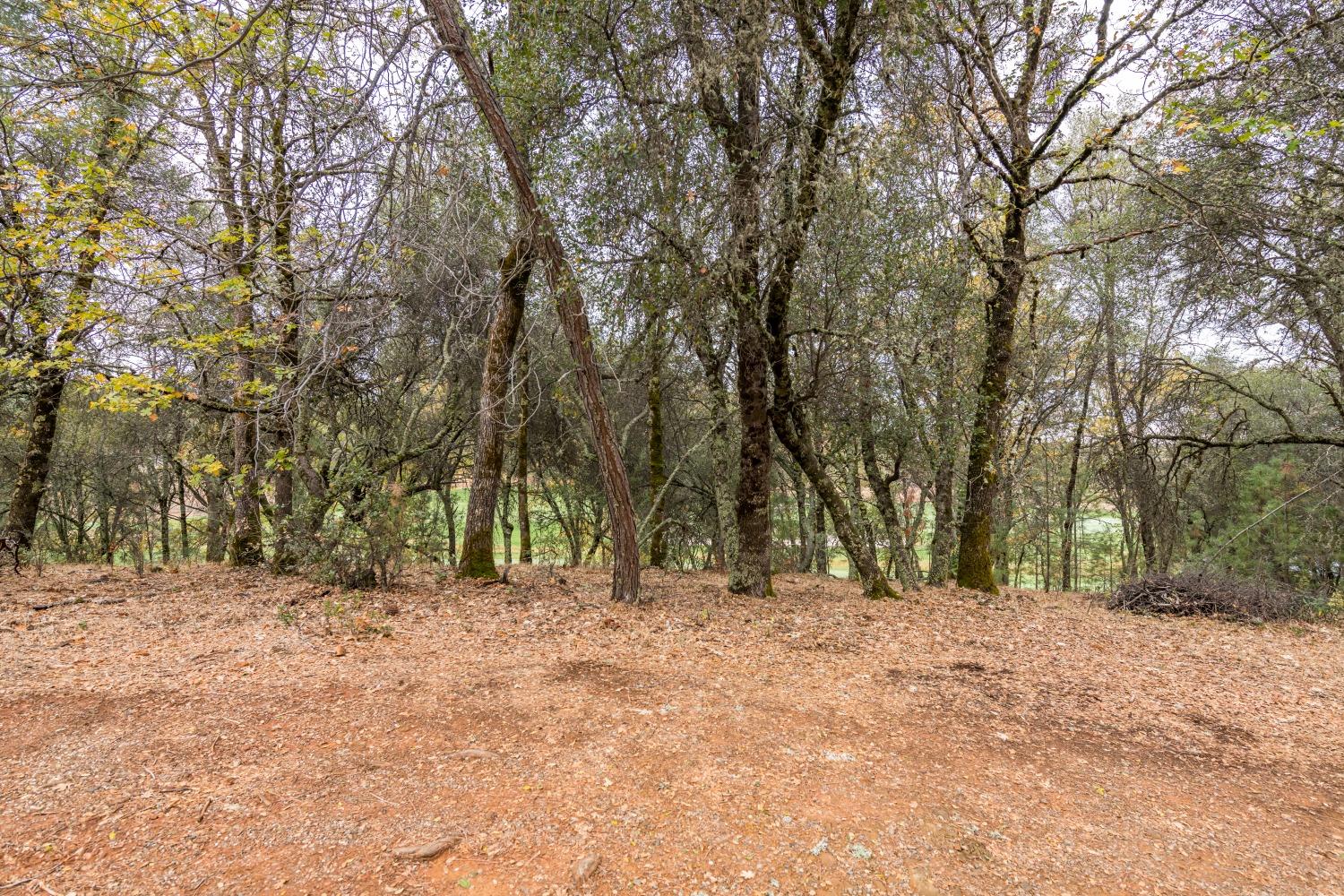 Lot 26 Landon Evan Lane, Auburn, California image 2