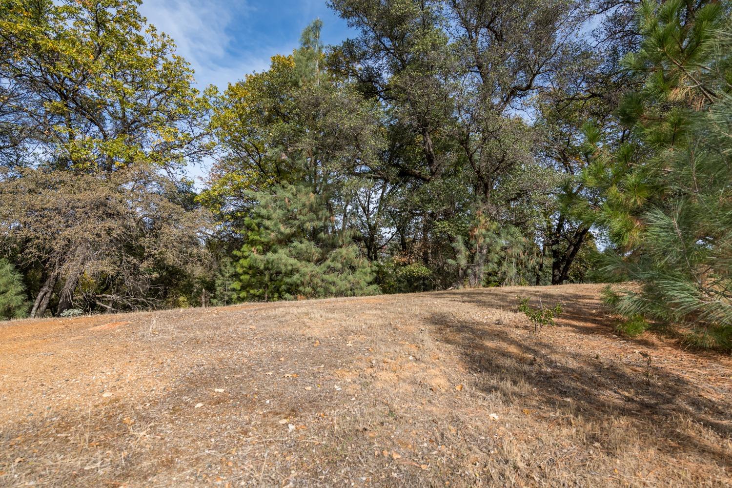 Photo of 12868-Lot 83 Austin Forest Cir in Auburn, CA