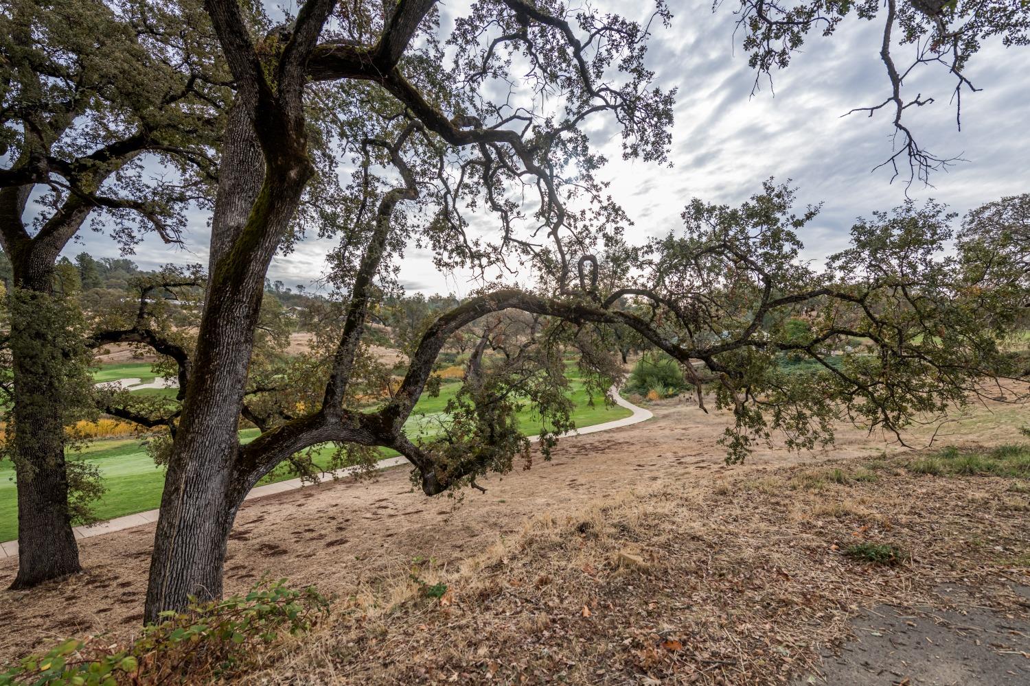 Photo of 23543-Lot 59 Bunkerhill Ct in Auburn, CA