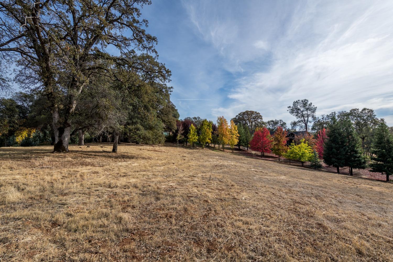 Lot 103 Austin Forest Circle, Auburn, California image 4