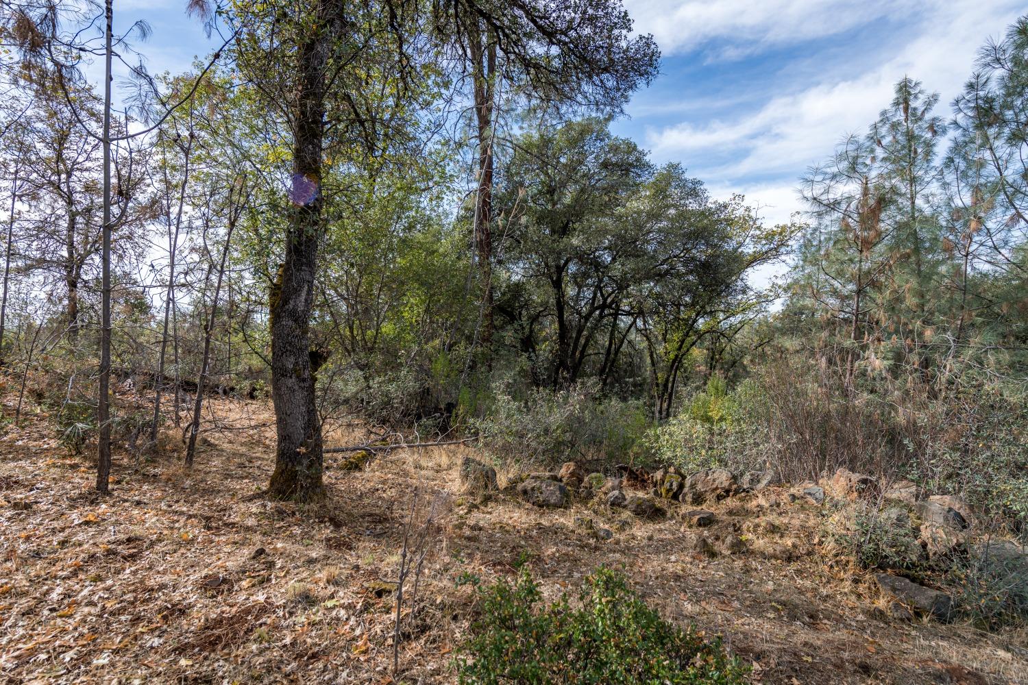 Lot 195 Masters Court, Auburn, California image 3