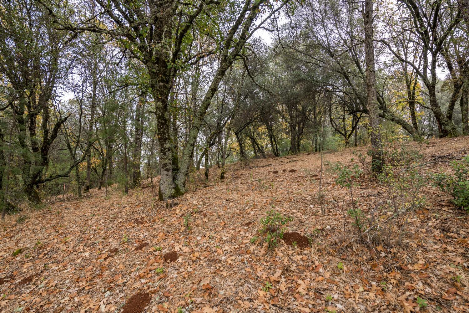 Lot 26 Landon Evan Lane, Auburn, California image 8