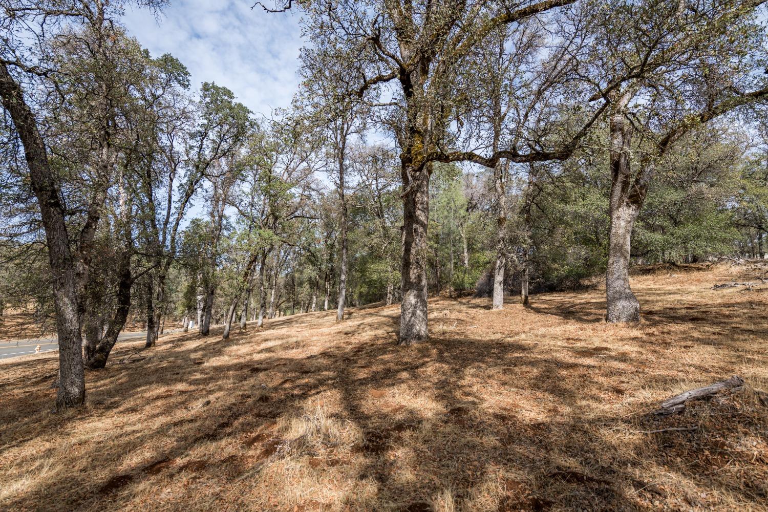 Lot 188 Darkhorse Drive, Auburn, California image 4