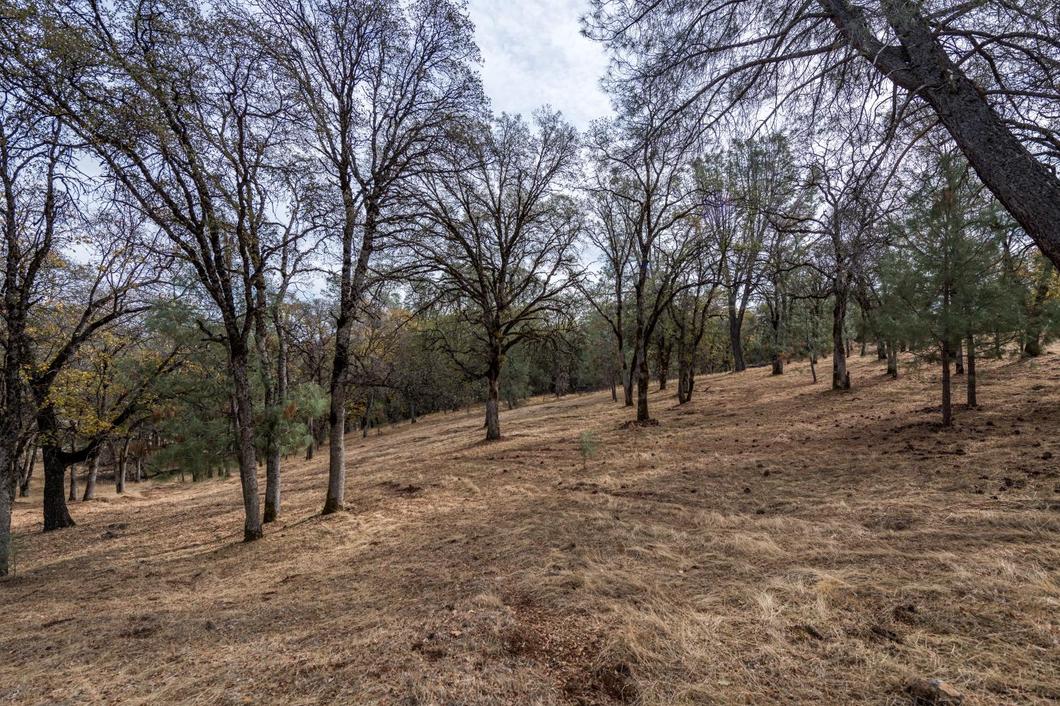 Lot 222 Moon Ridge Court, Auburn, California image 9