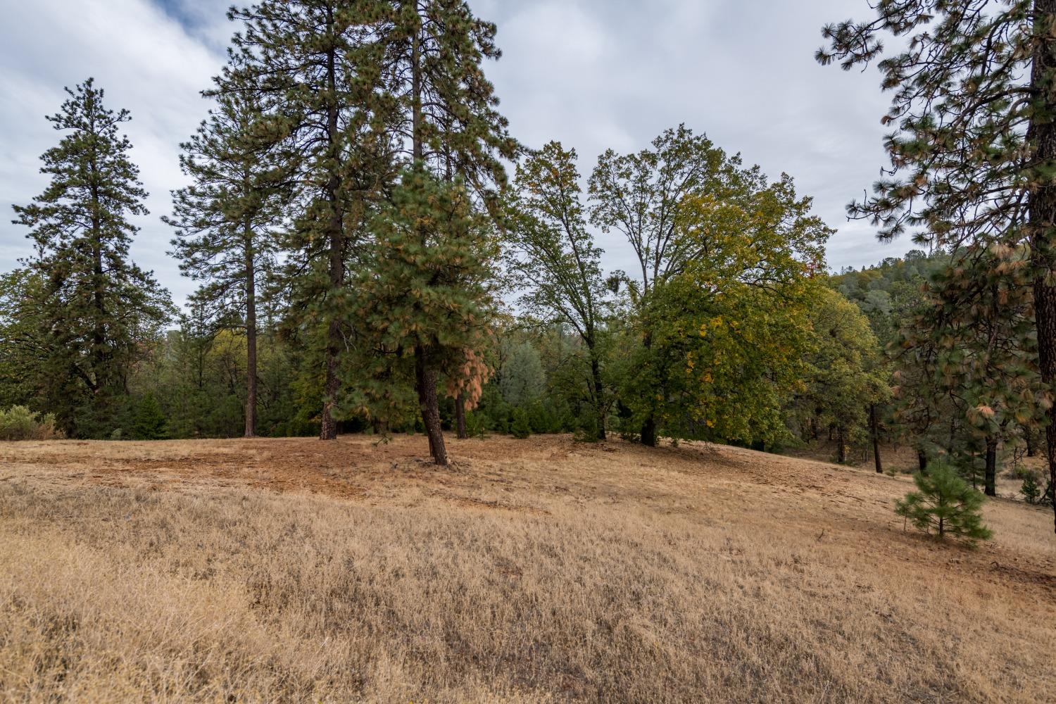 Lot 123 Darkhorse Drive, Auburn, California image 3