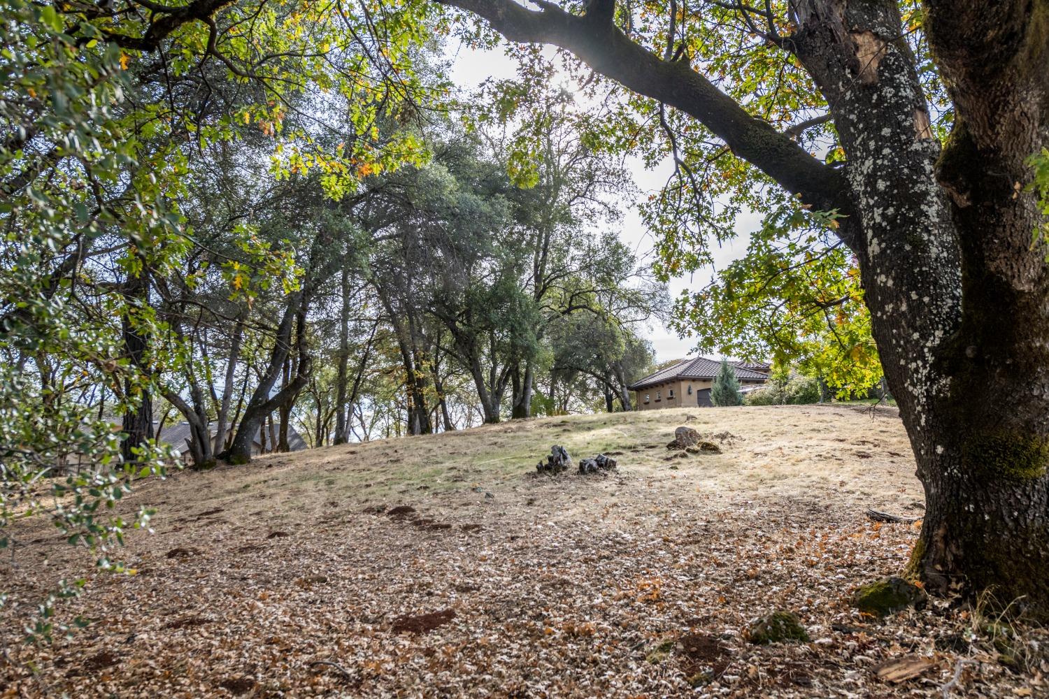 Photo of 12853-Lot 101 Austin Forest Cir in Auburn, CA