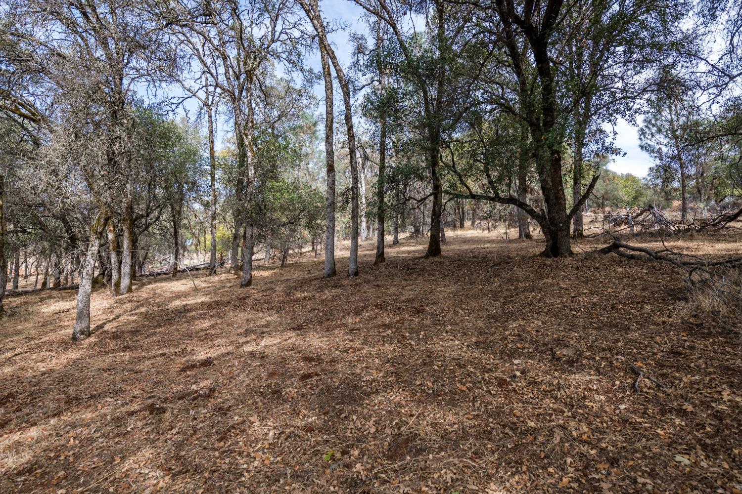 Lot 192 Darkhorse Drive, Auburn, California image 4