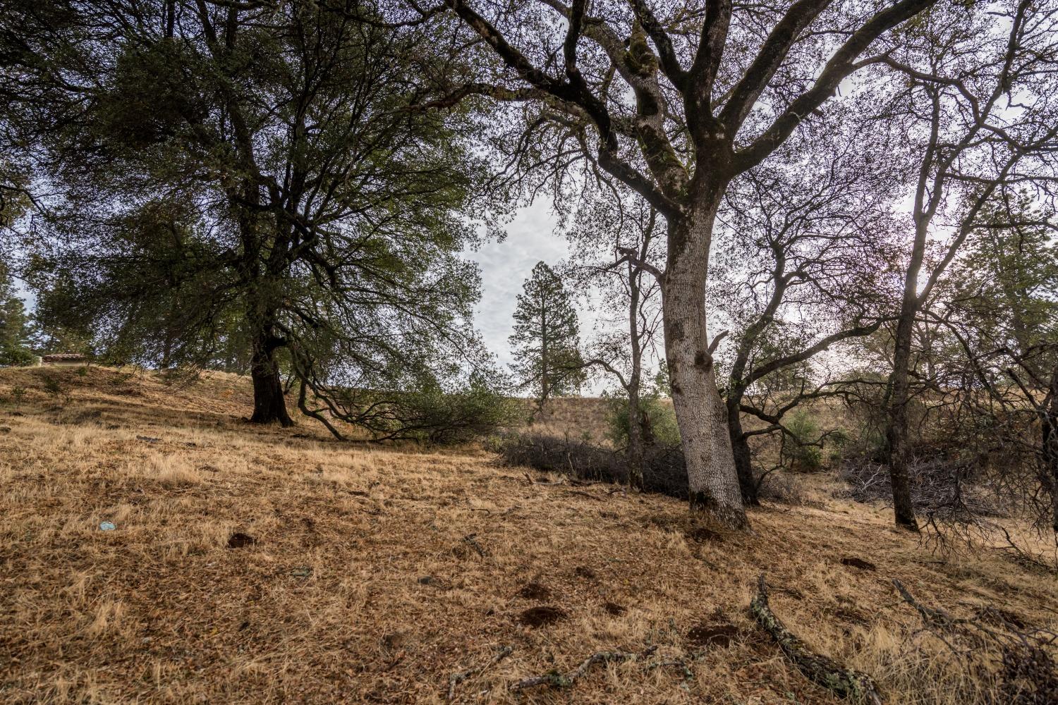 Lot 39 Landon Evan Lane, Auburn, California image 6