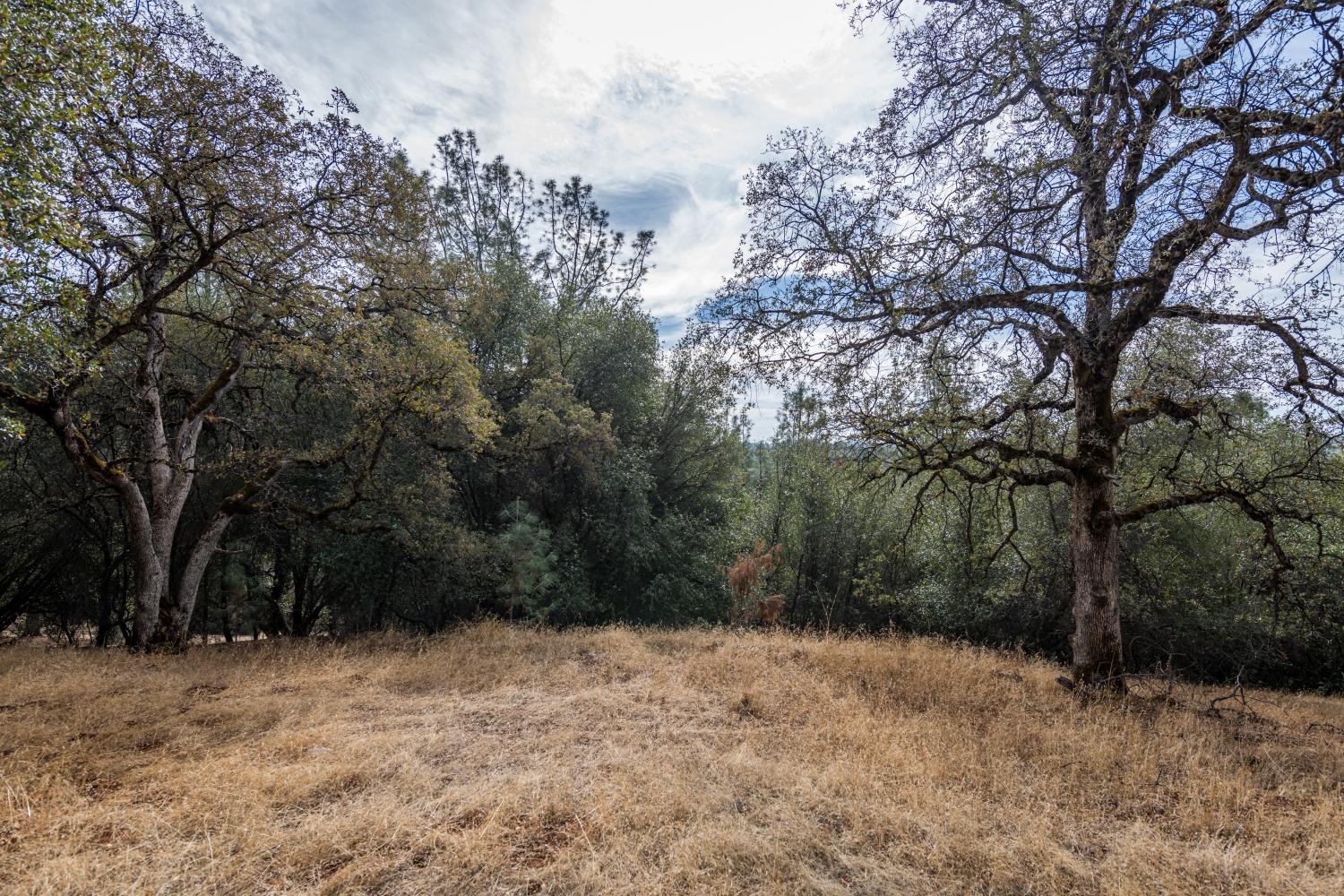 Lot 220 Moon Ridge Court, Auburn, California image 4