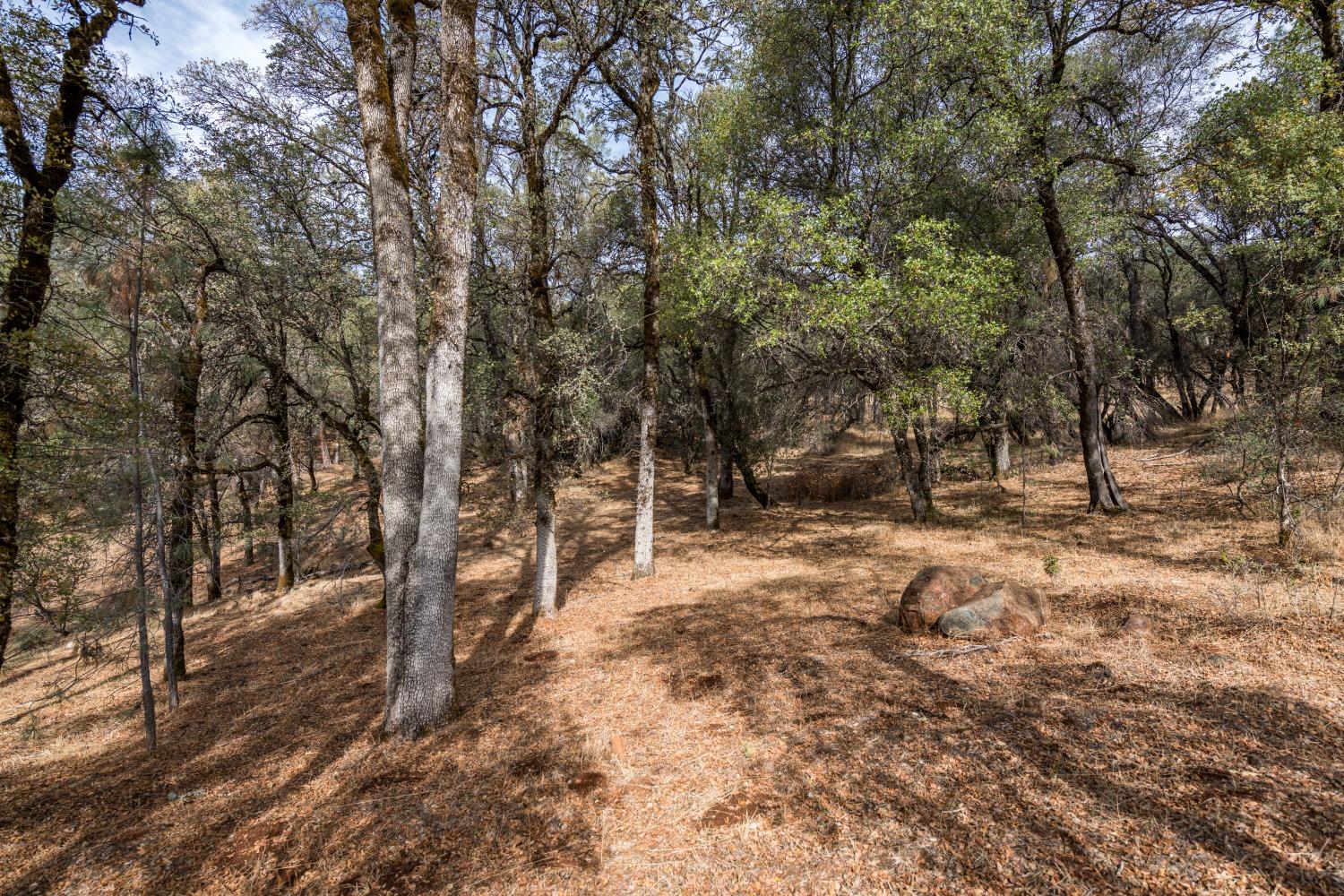 Lot 204 Masters Court, Auburn, California image 3