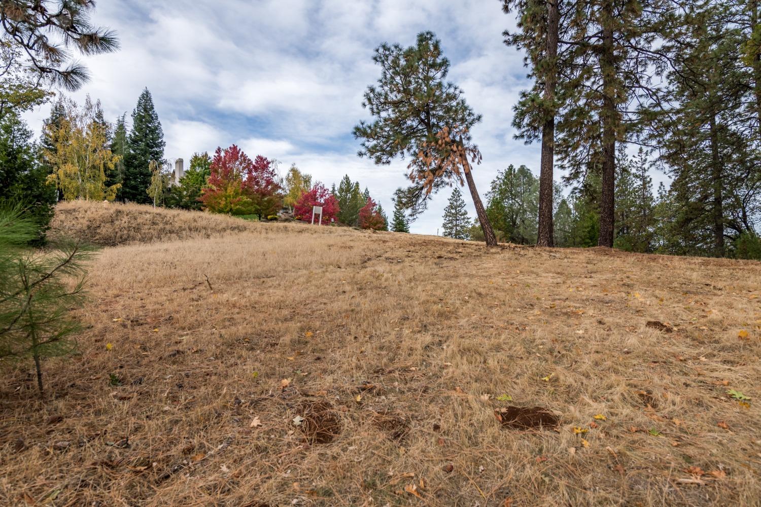 Lot 123 Darkhorse Drive, Auburn, California image 5