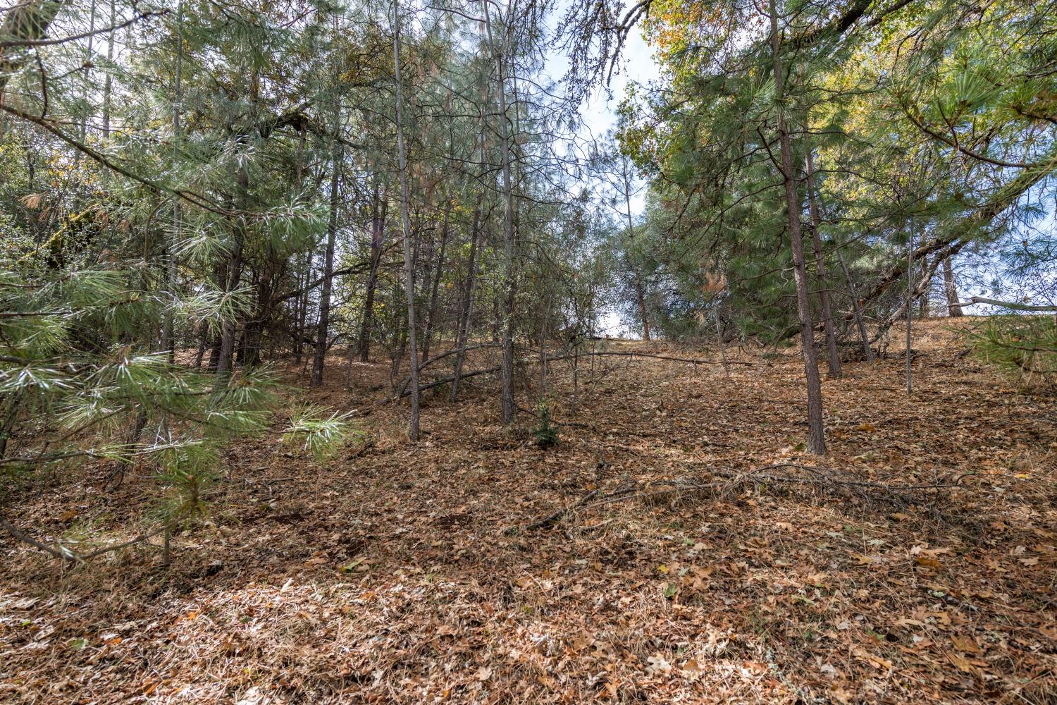 Lot 169 Darkhorse Drive, Auburn, California image 7