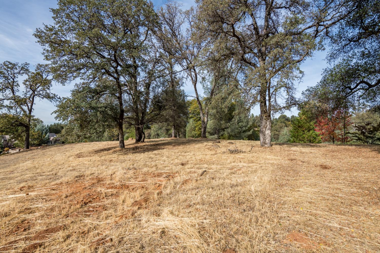 Lot 103 Austin Forest Circle, Auburn, California image 8