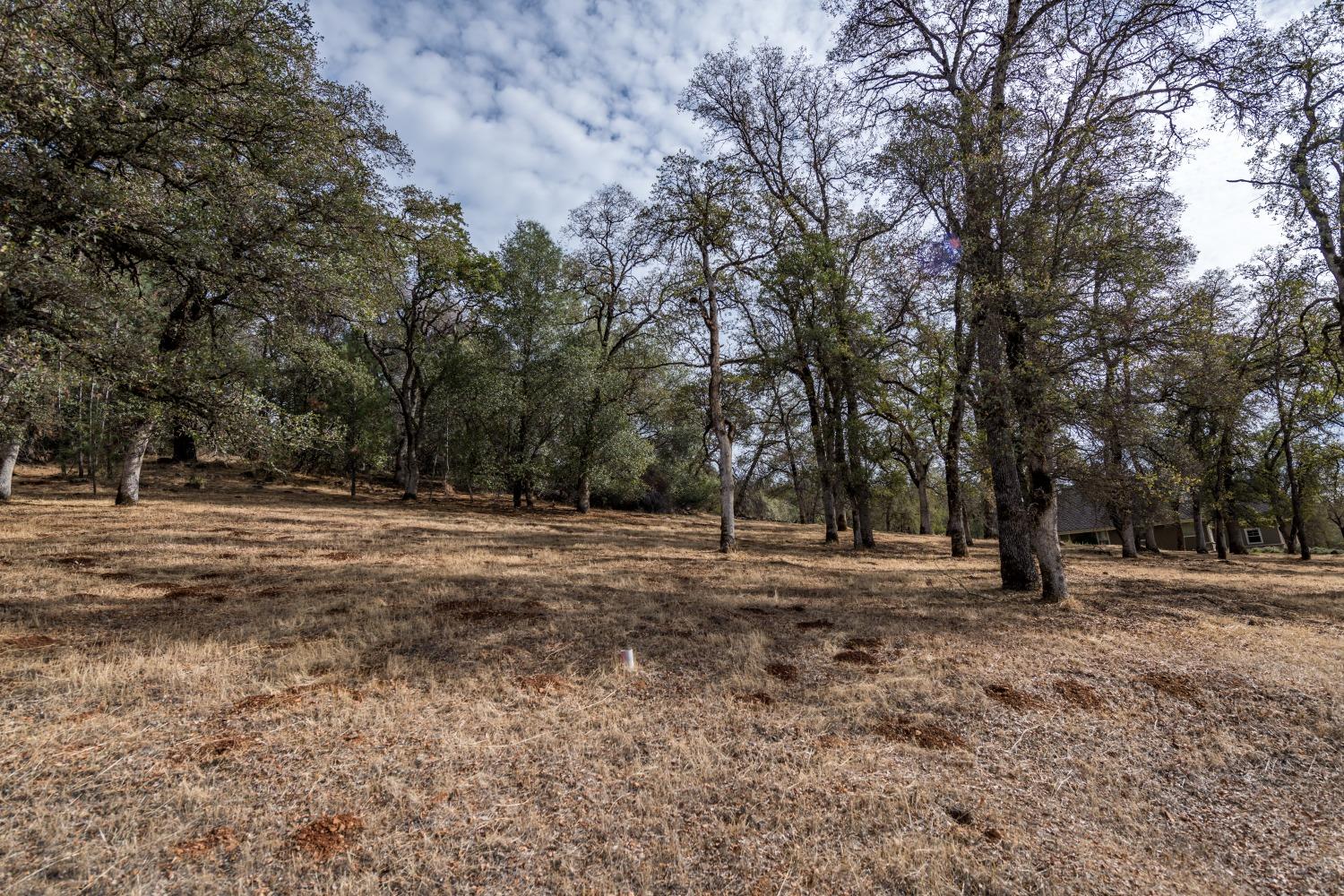 Lot 188 Darkhorse Drive, Auburn, California image 1