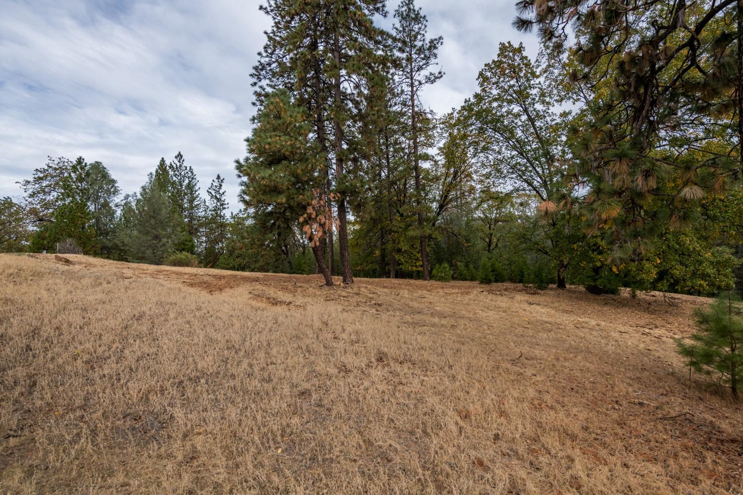 Lot 123 Darkhorse Drive, Auburn, California image 4