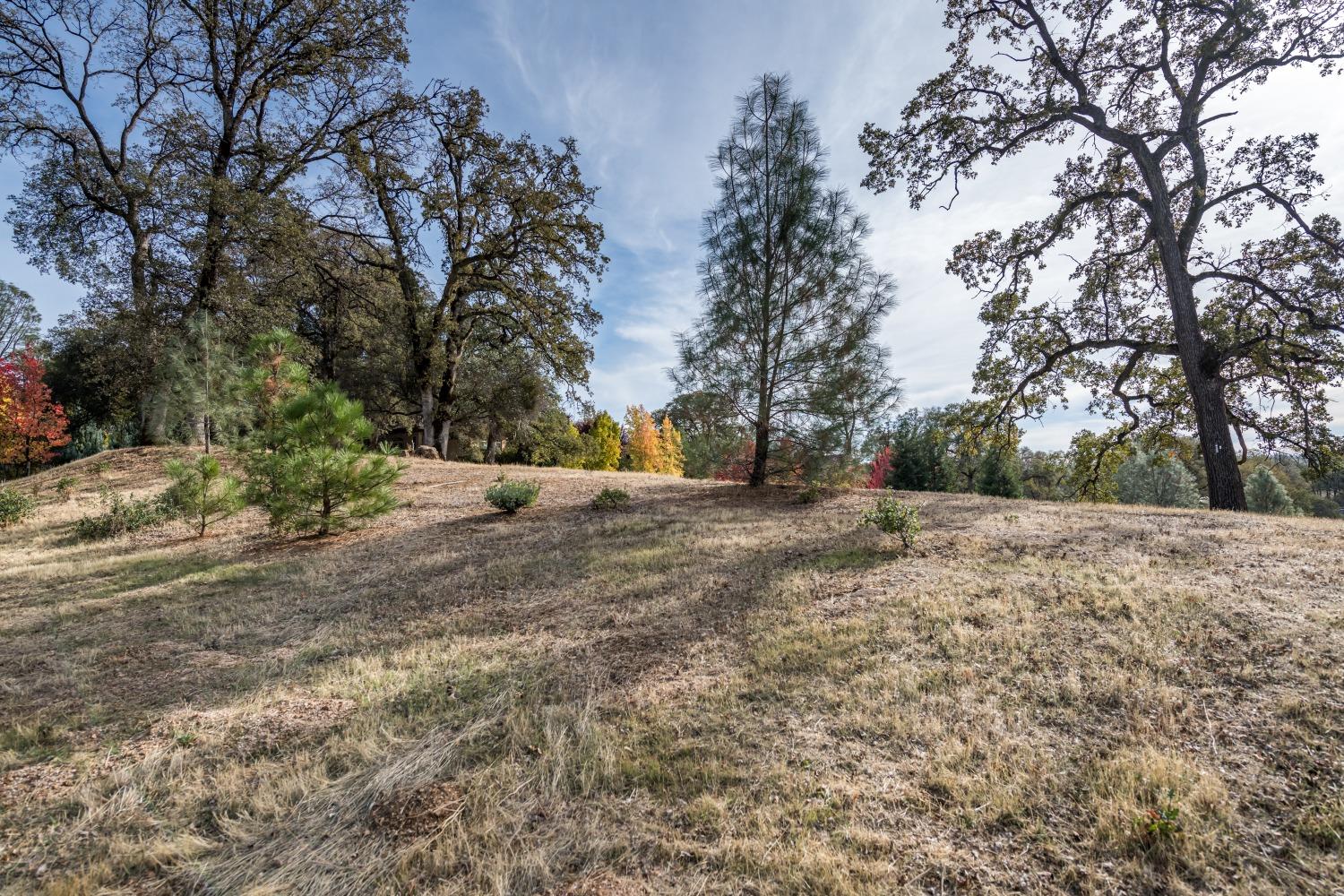 Lot 103 Austin Forest Circle, Auburn, California image 3