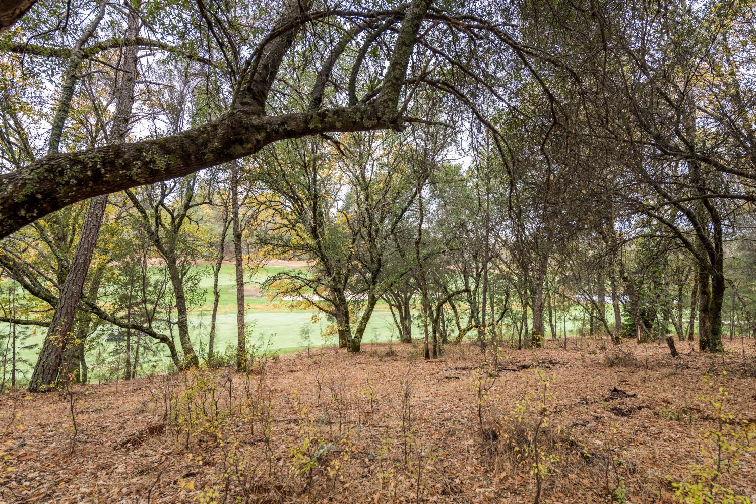 Lot 26 Landon Evan Lane, Auburn, California image 9