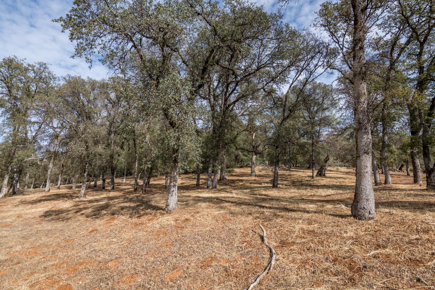 Lot 188 Darkhorse Drive, Auburn, California image 3