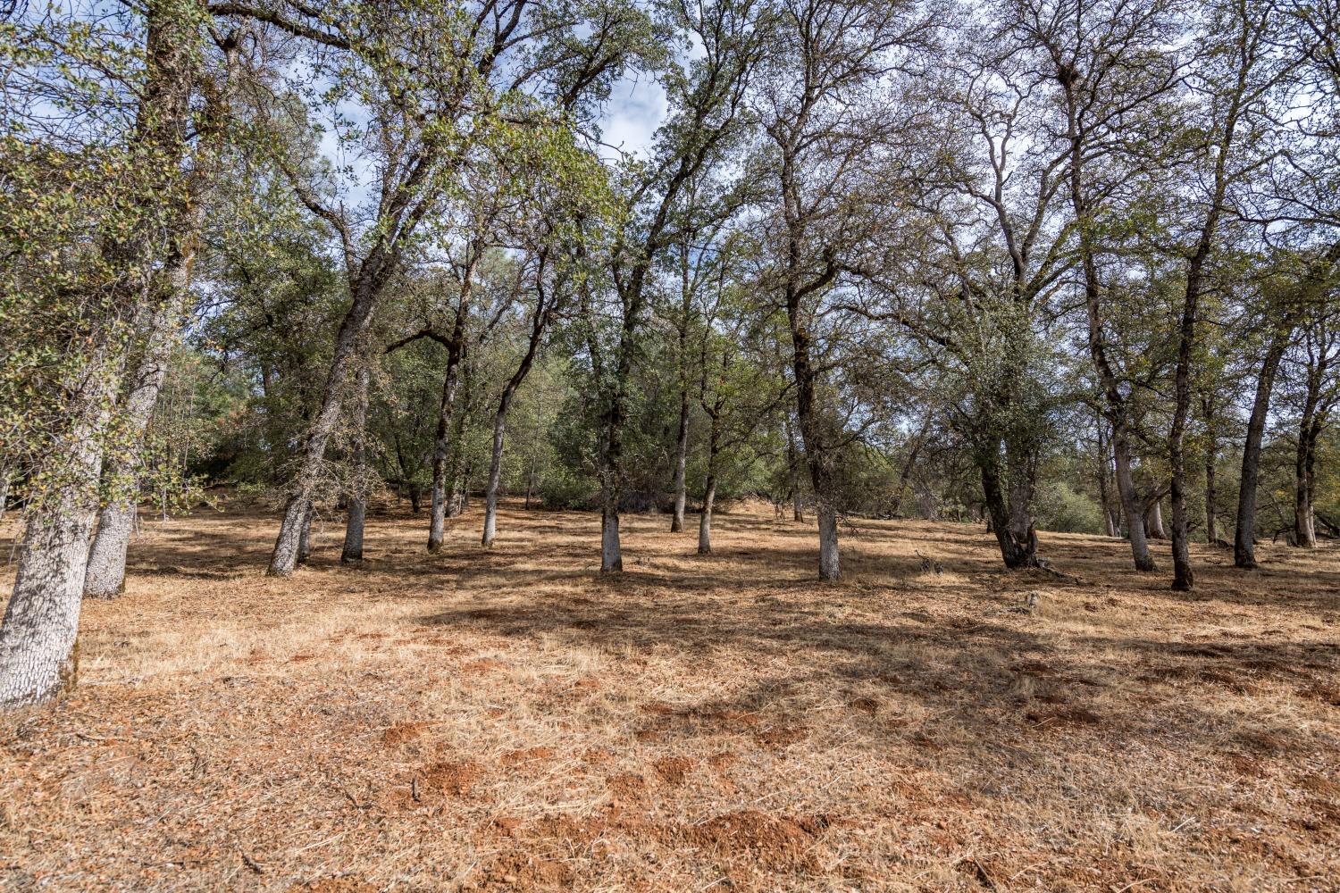 Lot 188 Darkhorse Drive, Auburn, California image 2