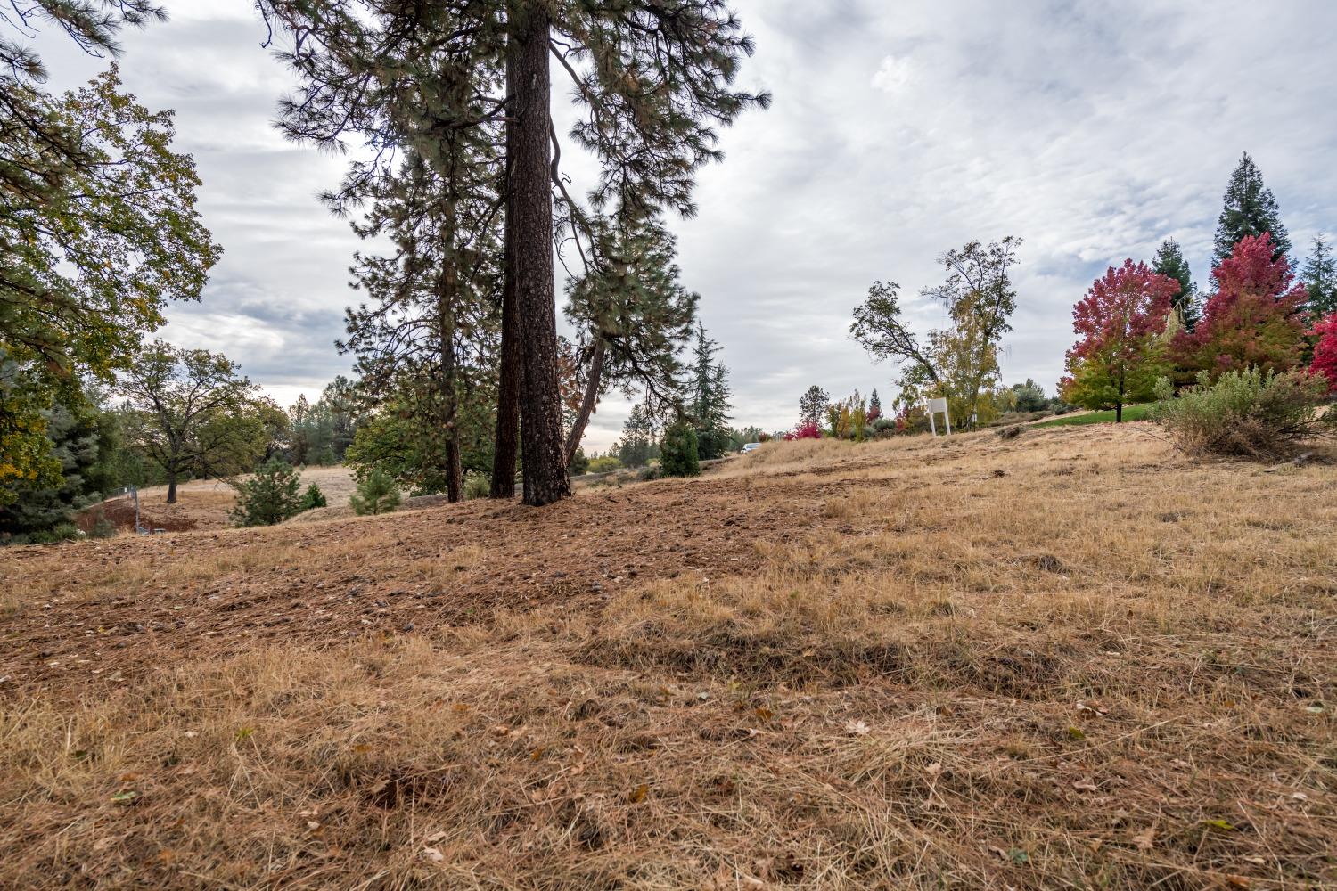 Lot 123 Darkhorse Drive, Auburn, California image 7