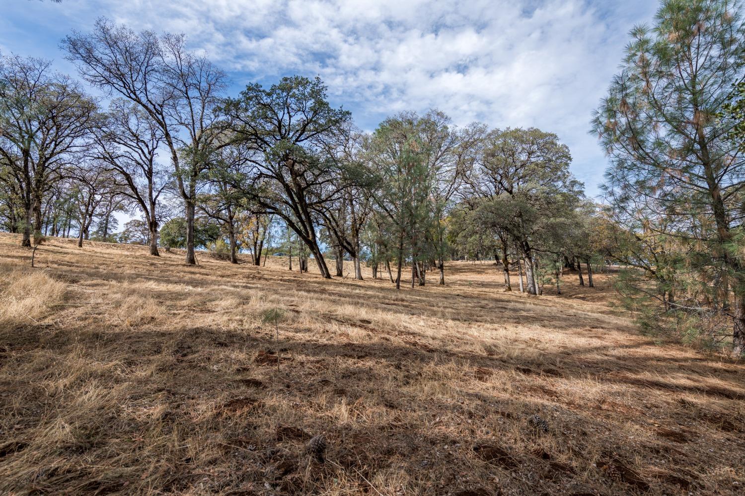 Lot 222 Moon Ridge Court, Auburn, California image 5