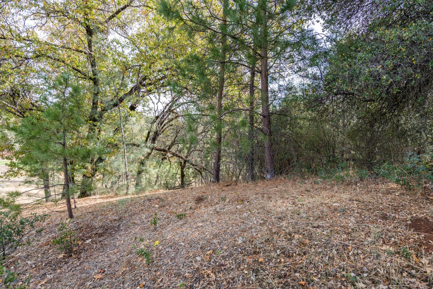 Lot 169 Darkhorse Drive, Auburn, California image 3
