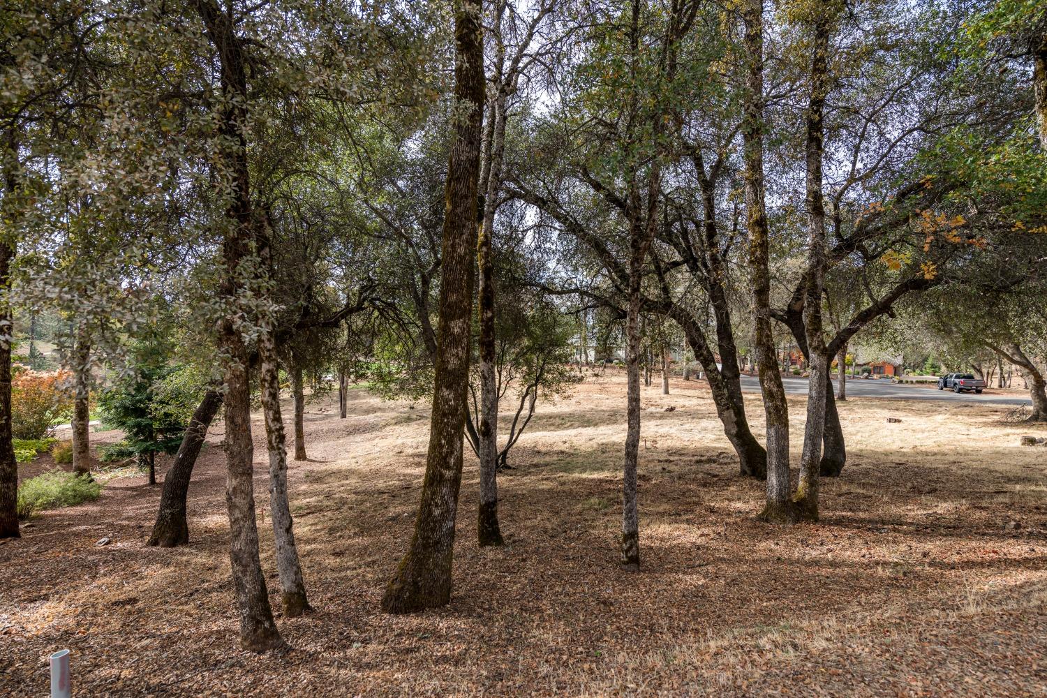 Photo of 23390-Lot 173 Darkhorse Dr in Auburn, CA