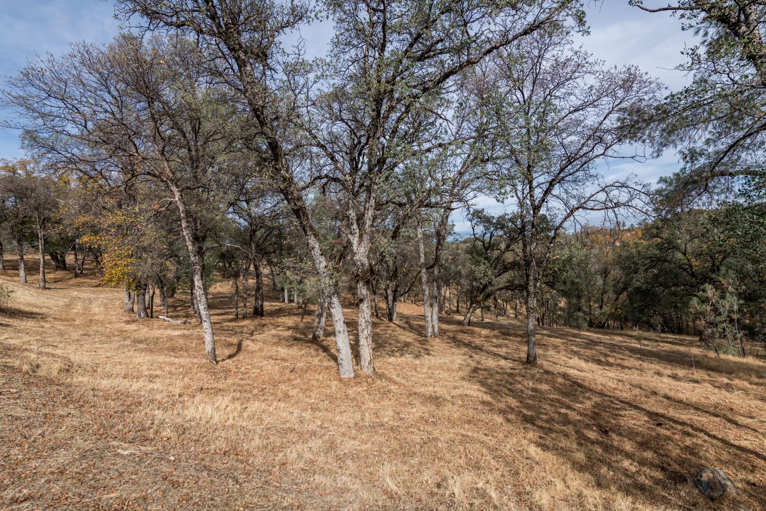 Lot 222 Moon Ridge Court, Auburn, California image 3